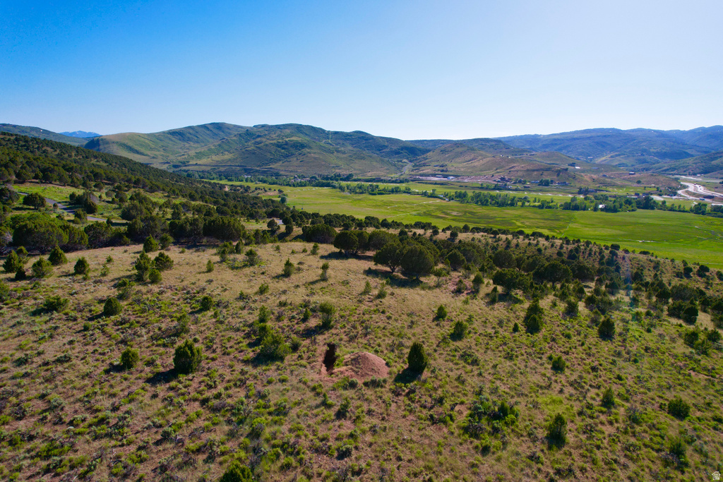 167  LEWIS VIEW Wanship, UT 84017