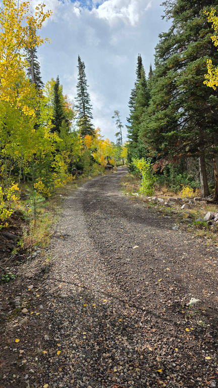 4308 FOOTHILL DR ##11 Kamas, UT 84036