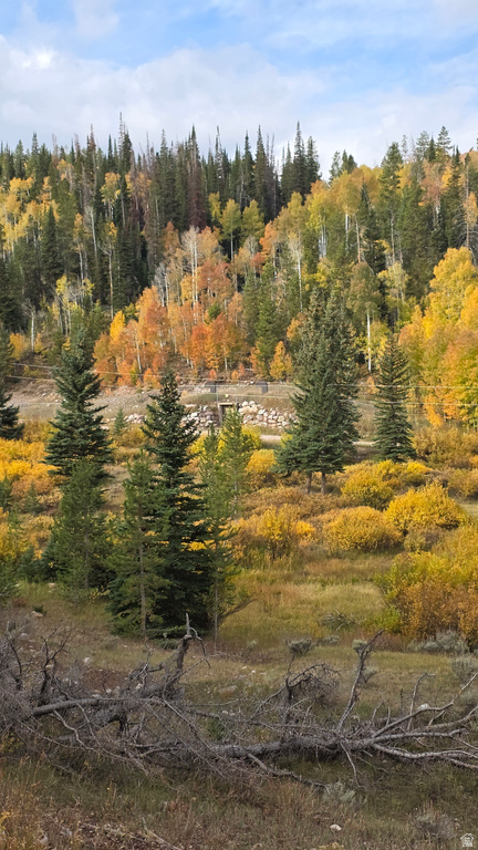 4308 FOOTHILL DR ##11 Kamas, UT 84036