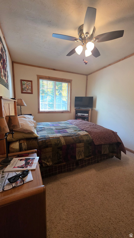 4308 FOOTHILL DR ##11 Kamas, UT 84036