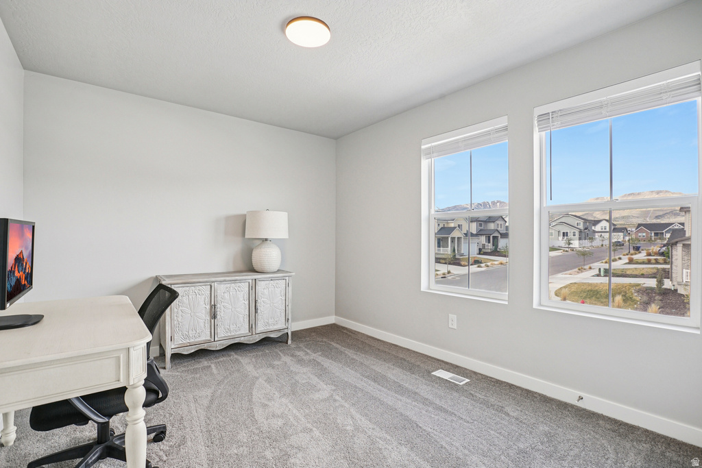 12927 S TWISTED OAK DR Herriman, UT 84096