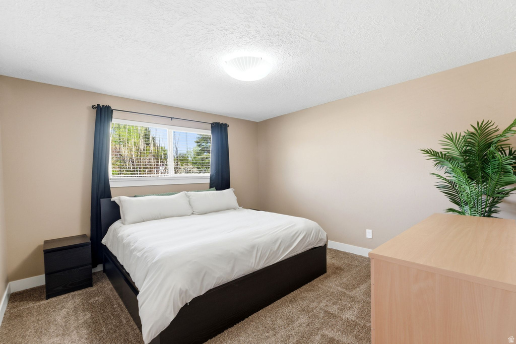 2393 W BUENO VISTA DR West Jordan, UT 84088