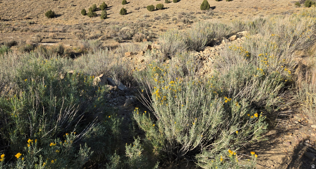  Duchesne, UT 84021