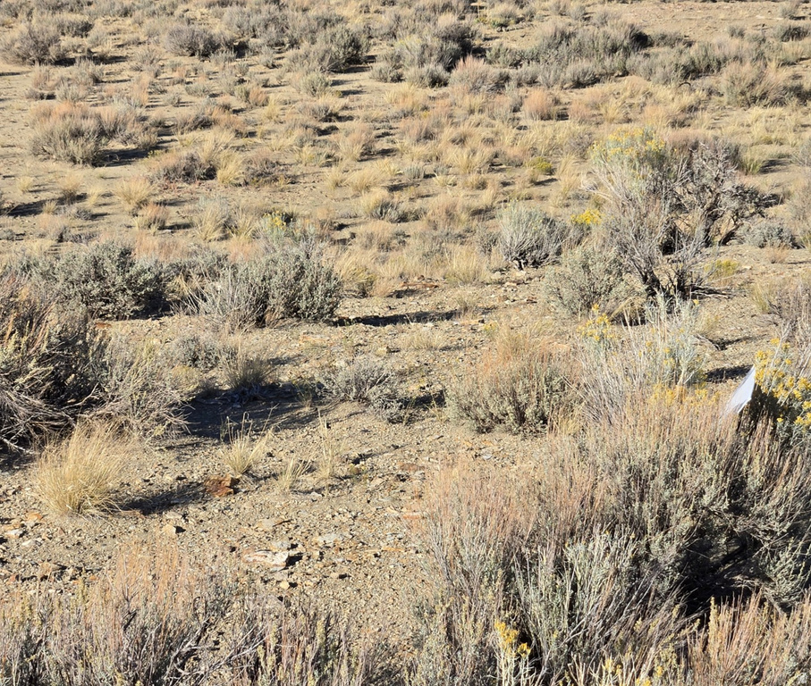  Duchesne, UT 84021