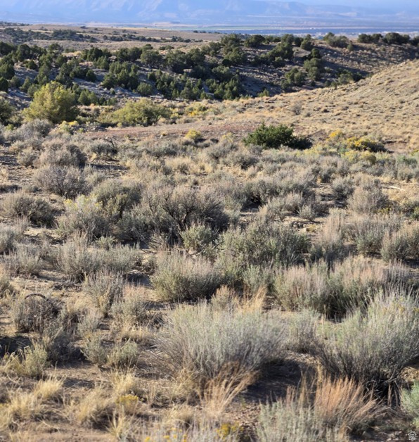  Duchesne, UT 84021