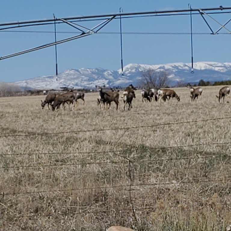  Duchesne, UT 84021