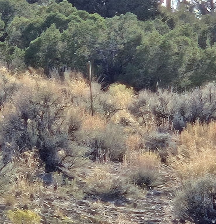  Duchesne, UT 84021