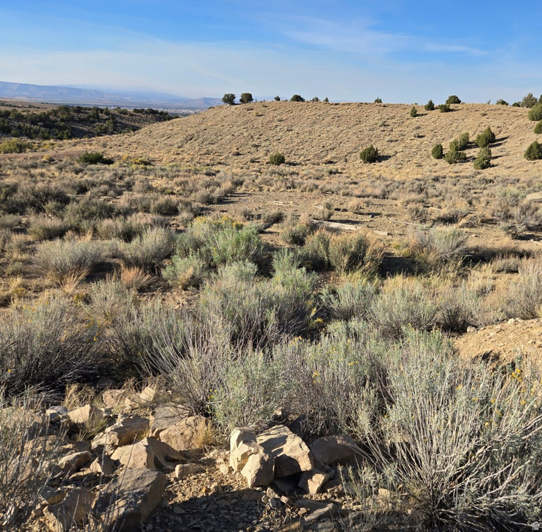  Duchesne, UT 84021