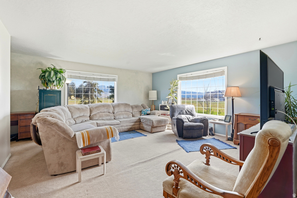 1500 W 800 N Lewiston, UT 84320