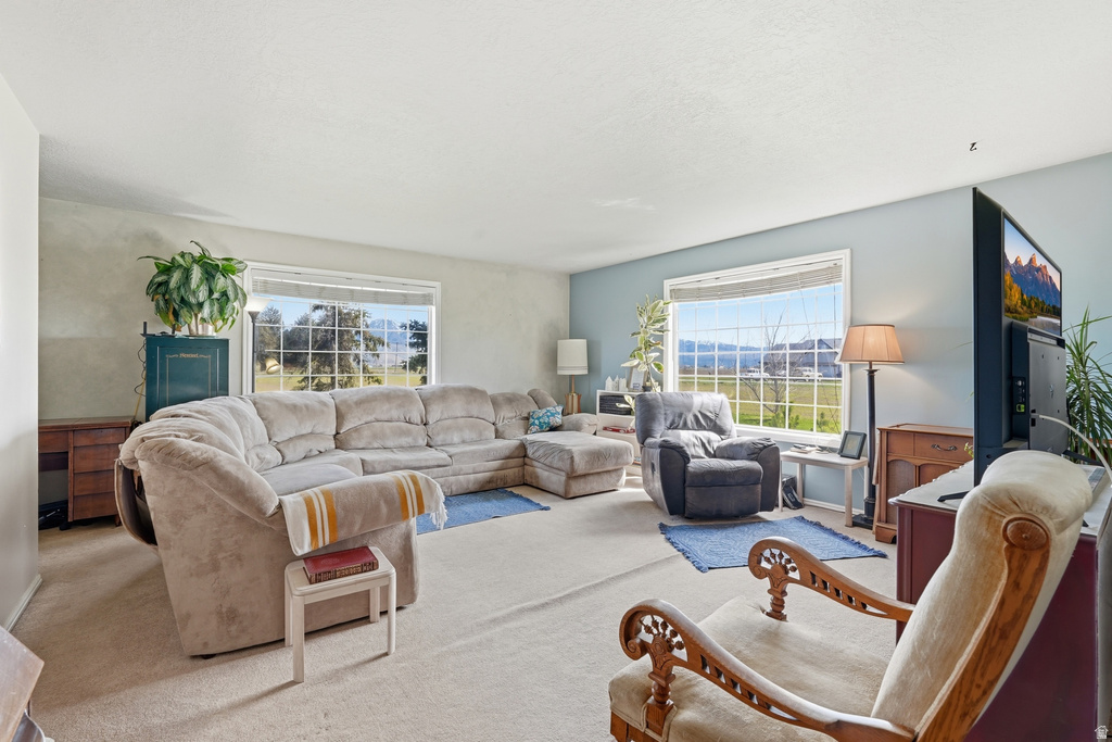 1500 W 800 N Lewiston, UT 84320