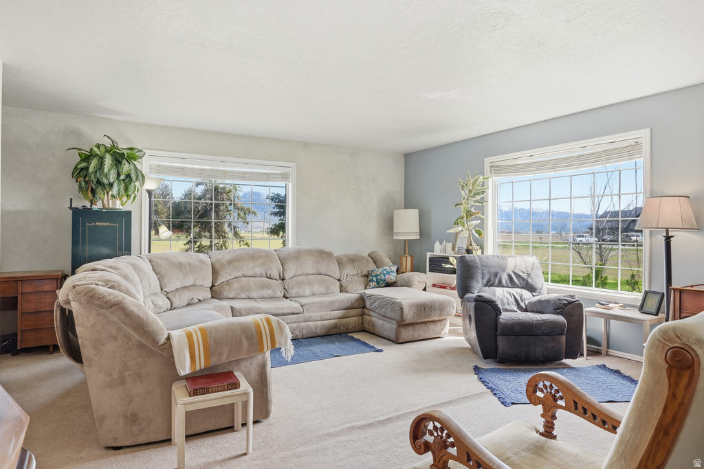 1500 W 800 N Lewiston, UT 84320