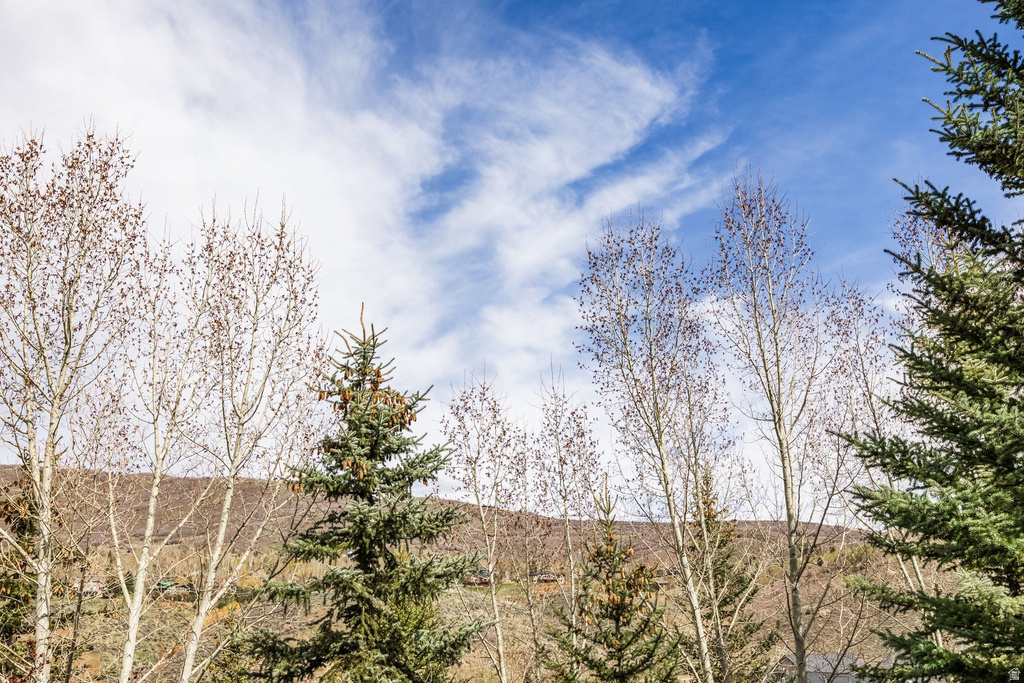 3002 W CANYON LINK DR Park City, UT 84098