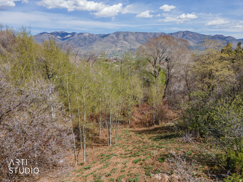 3732 E 1950 N Eden, UT 84310