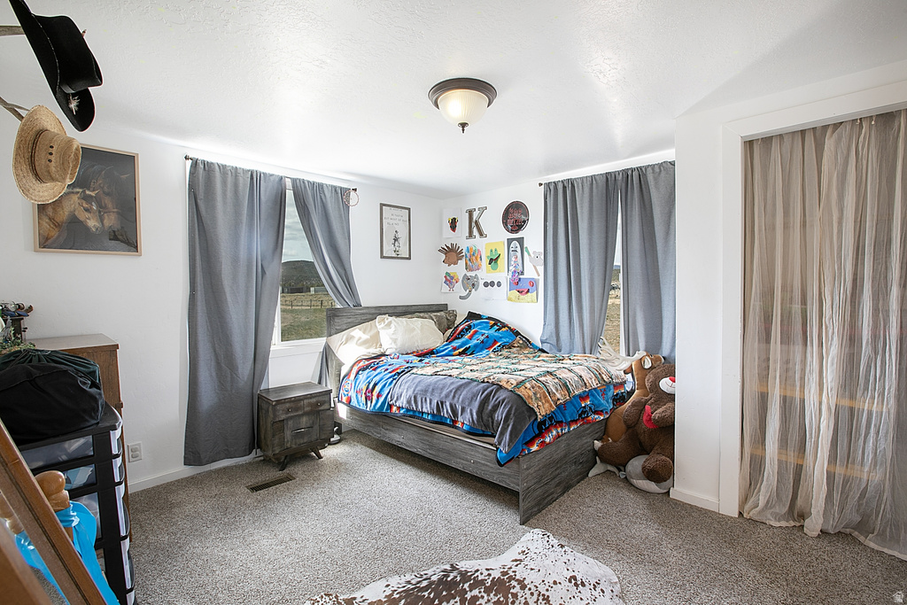 11486 N 3650 W Roosevelt, UT 84066