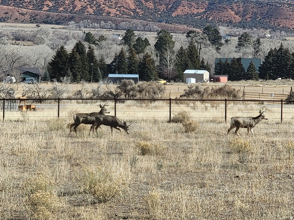 8551 W SAWTOOTH PARK DR Dry Fork, UT 84078