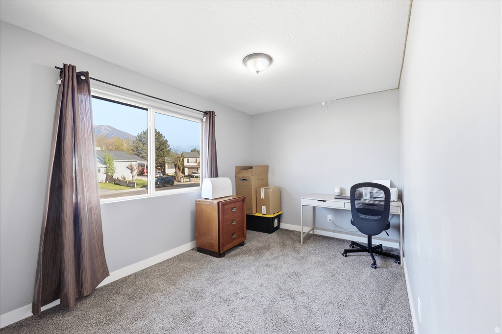 320 S S 1360 ST Spanish Fork, UT 84660