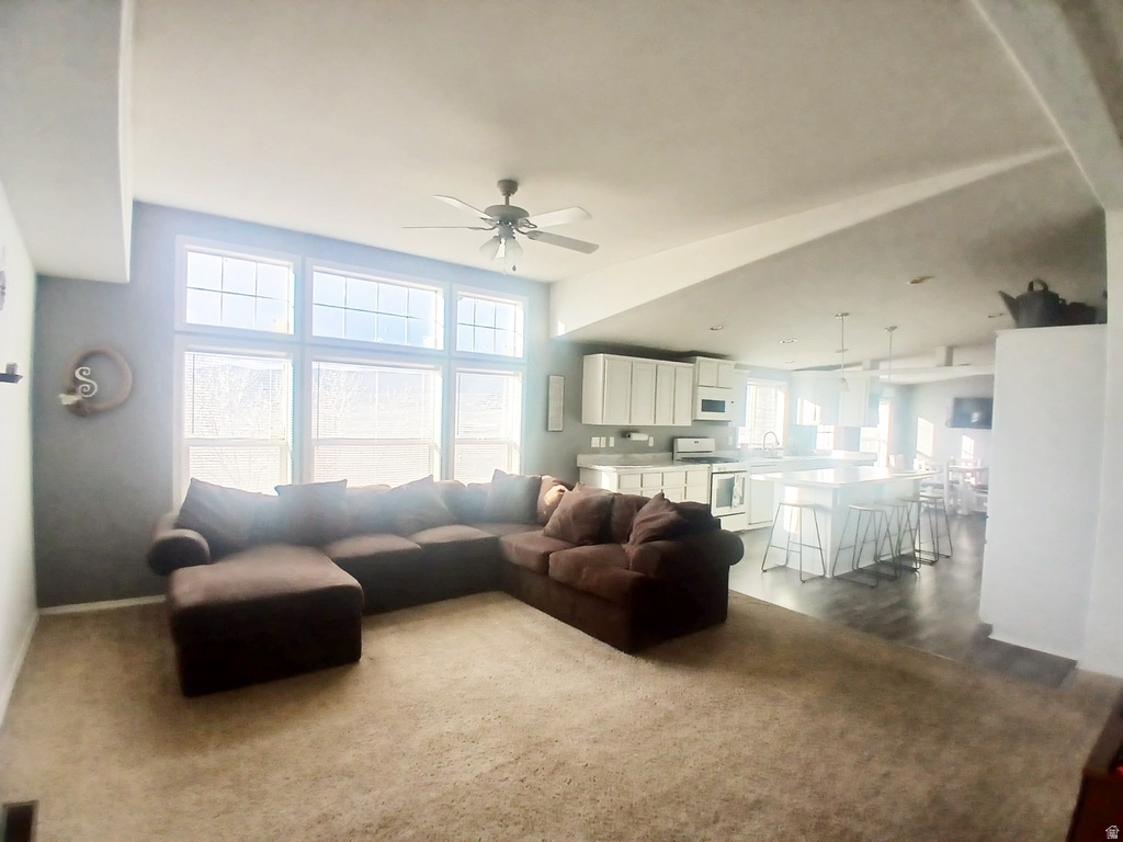 1209 W HWY 43 Manila, UT 84046