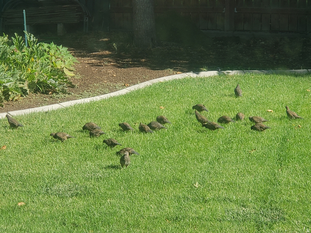 897 E 1200 N Mapleton, UT 84664