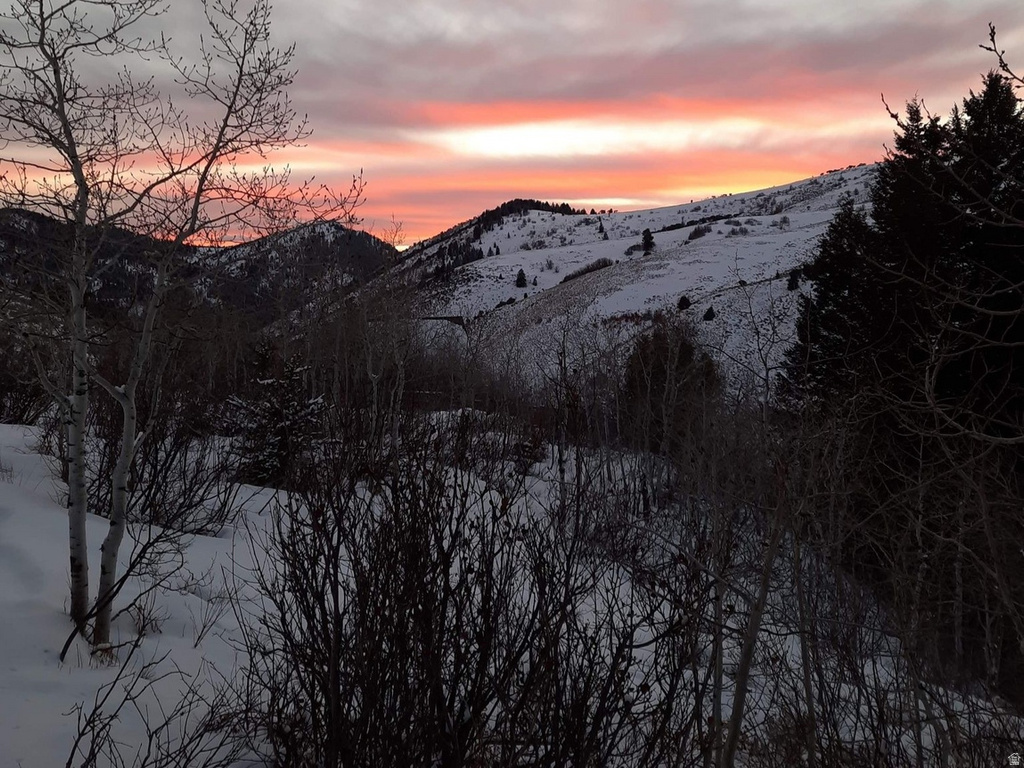 11829 FALCON PT #H21 Huntsville, UT 84317