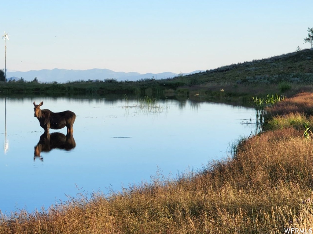 11829 FALCON PT #H21 Huntsville, UT 84317