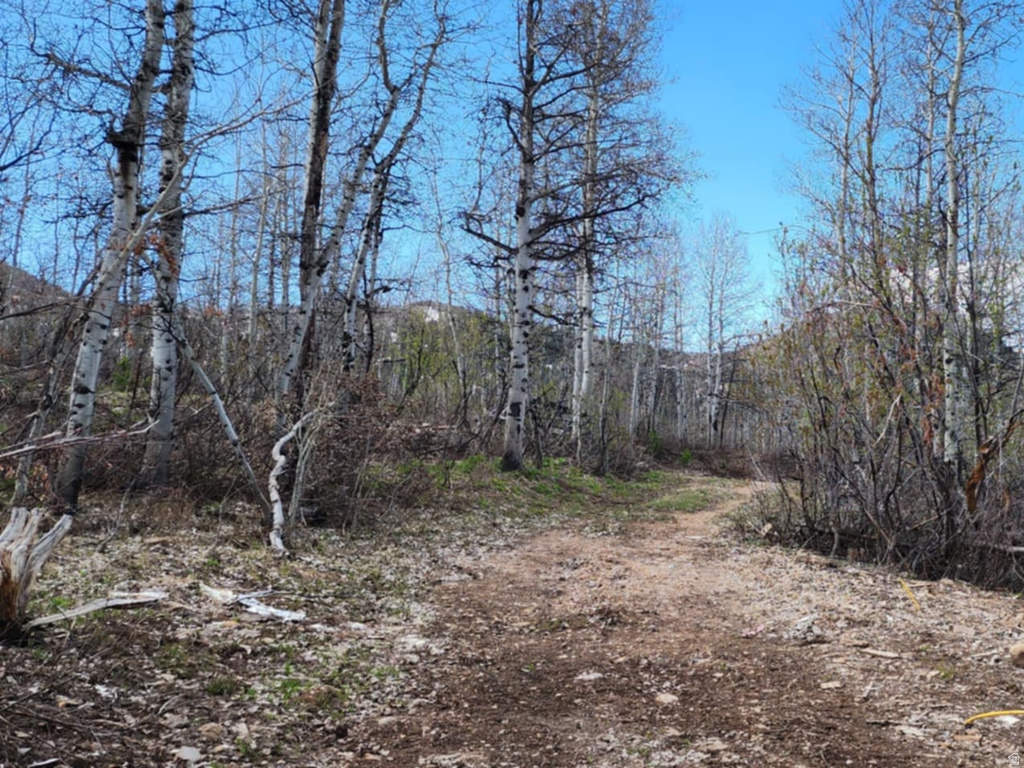 11626  SUNRIDGE CIR Huntsville, UT 84317