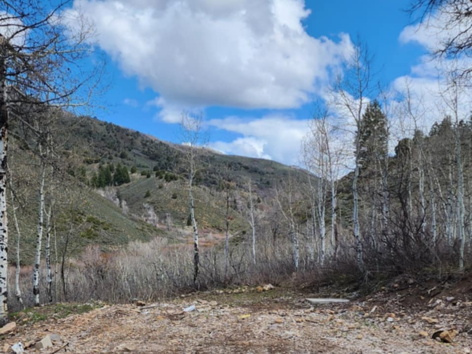 11626  SUNRIDGE CIR Huntsville, UT 84317