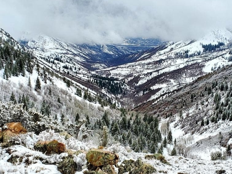 11626  SUNRIDGE CIR Huntsville, UT 84317