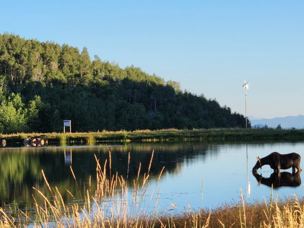 11626  SUNRIDGE CIR Huntsville, UT 84317