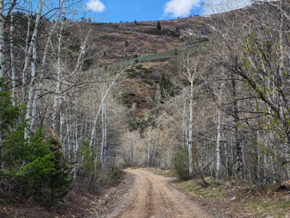 11626  SUNRIDGE CIR Huntsville, UT 84317