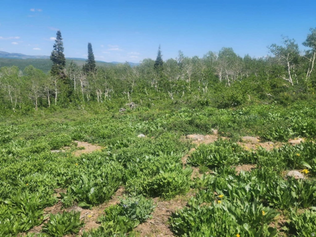 7434 N RENDEZVOUS RD Huntsville, UT 84317