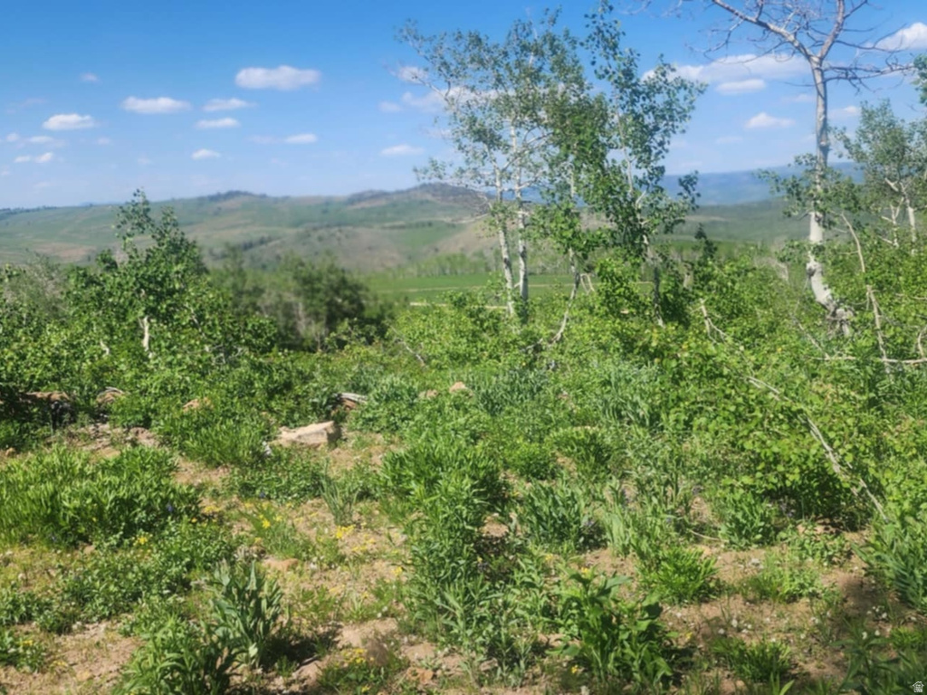 7434 N RENDEZVOUS RD Huntsville, UT 84317