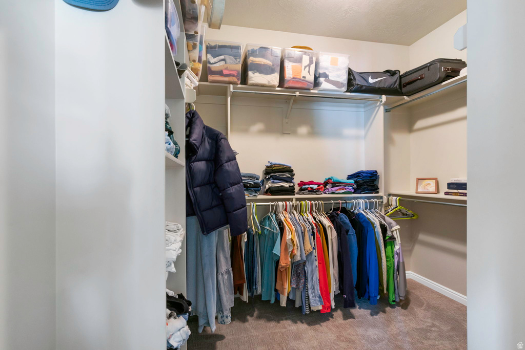 3058 W CRYSTAL PALACE South Jordan, UT 84095