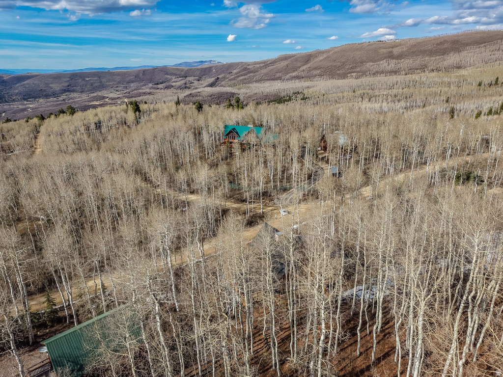 11456 E COLUMBINE LN #1648 Heber City, UT 84032