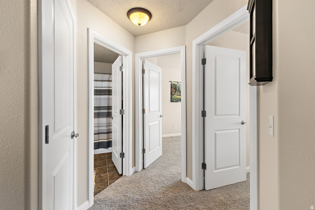 2484 MANZONI RD Santa Clara, UT 84765