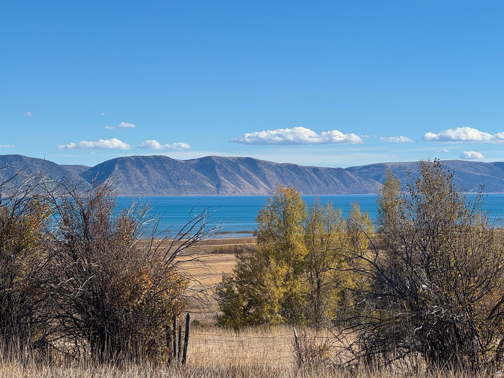 135  CHALET CIR Fish Haven, ID 83287