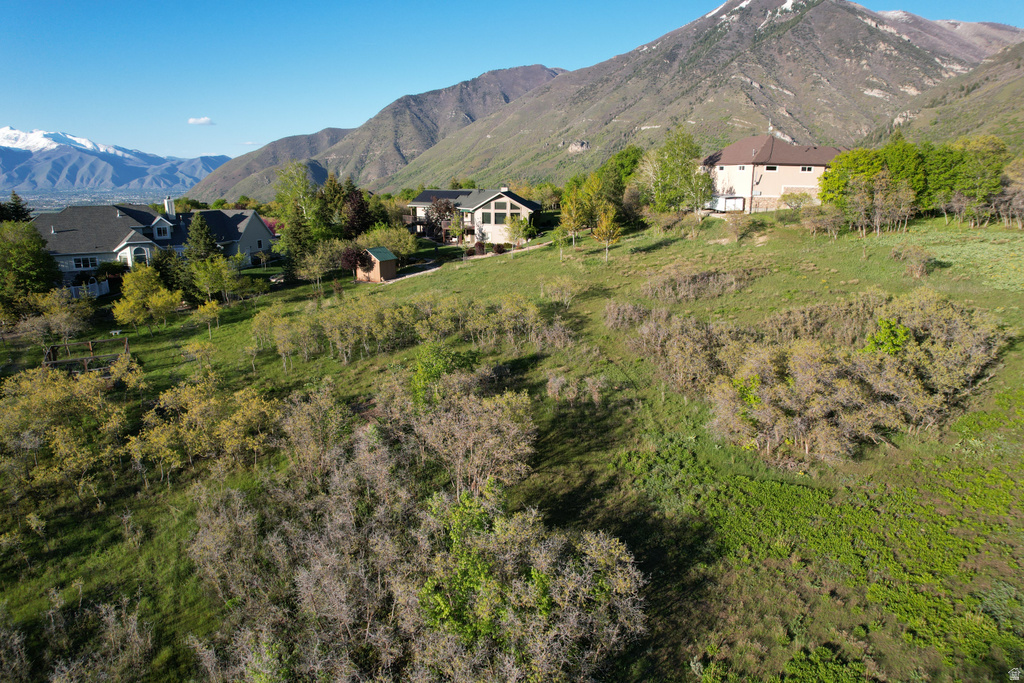 715 S OAK DR Woodland Hills, UT 84653