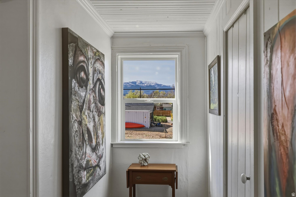 295 E 100 N Mt Pleasant, UT 84647