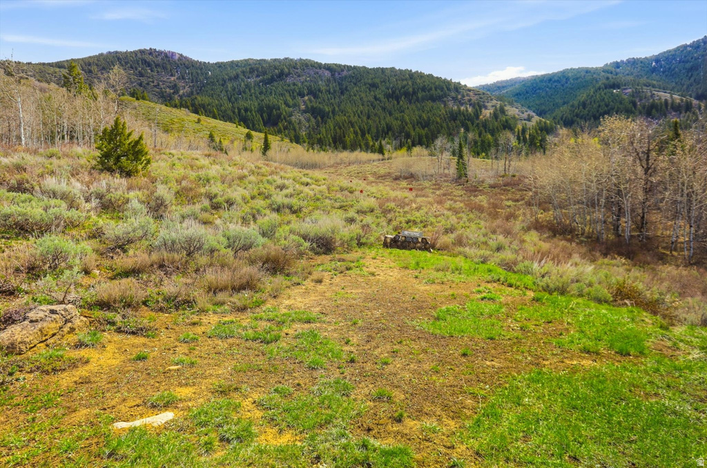 10140 N 11600 E Logan, UT 84321