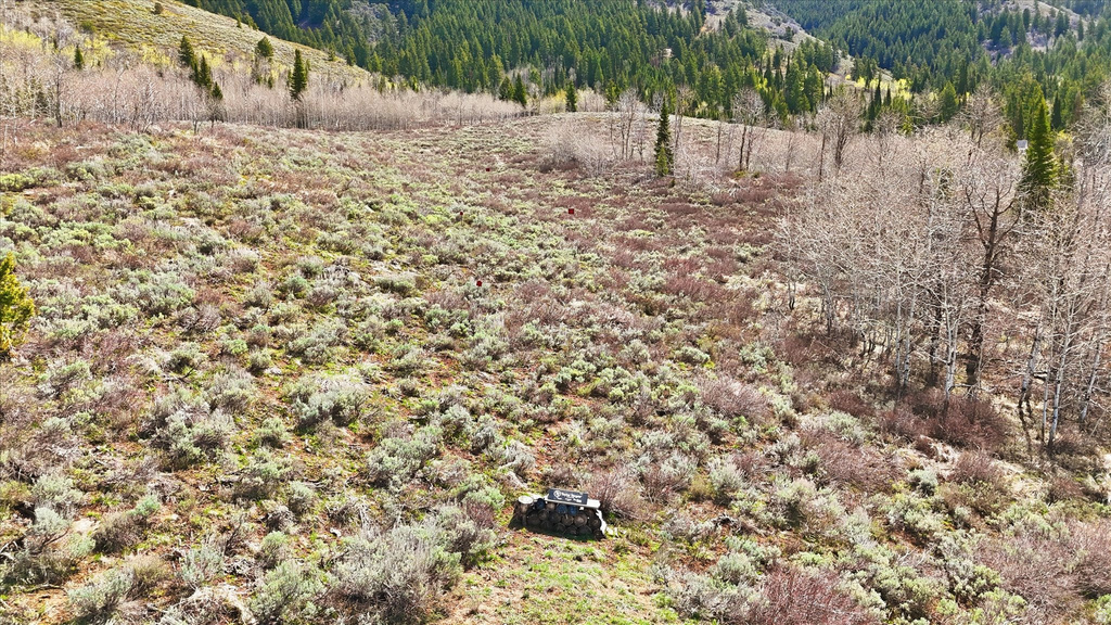 10140 N 11600 E Logan, UT 84321