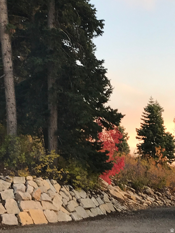 23465 N THADS PEAK Fairview, UT 84629