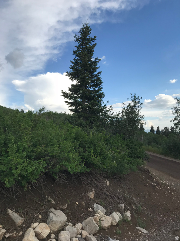 23465 N THADS PEAK Fairview, UT 84629