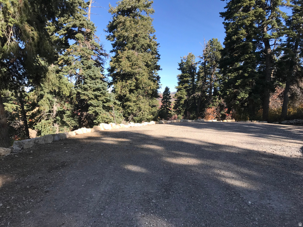 23465 N THADS PEAK Fairview, UT 84629