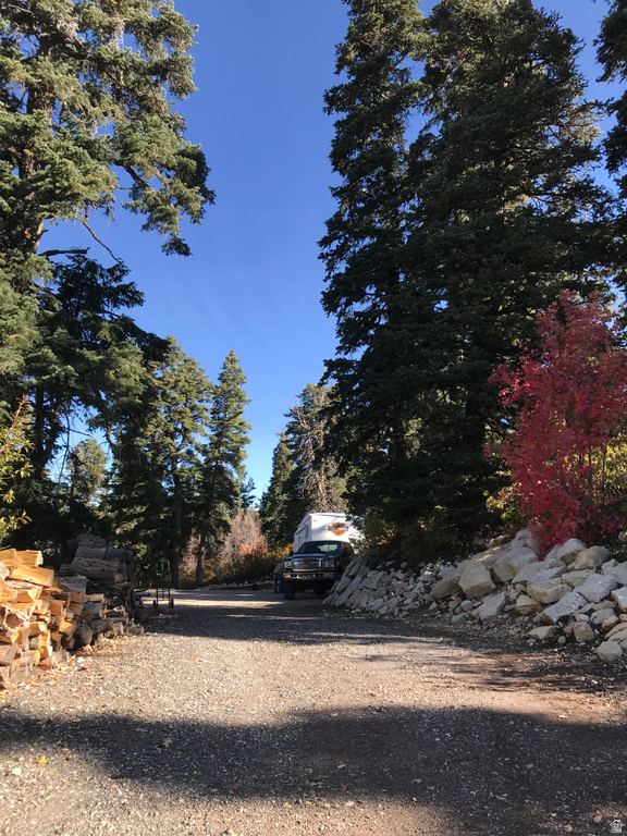 23465 N THADS PEAK Fairview, UT 84629