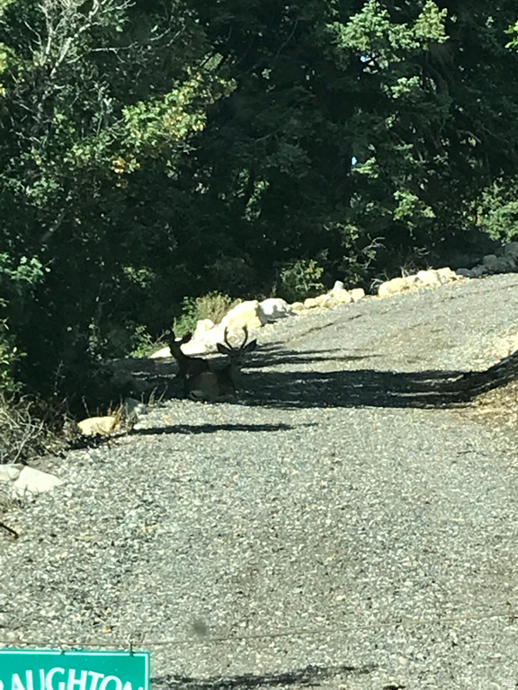 23465 N THADS PEAK Fairview, UT 84629