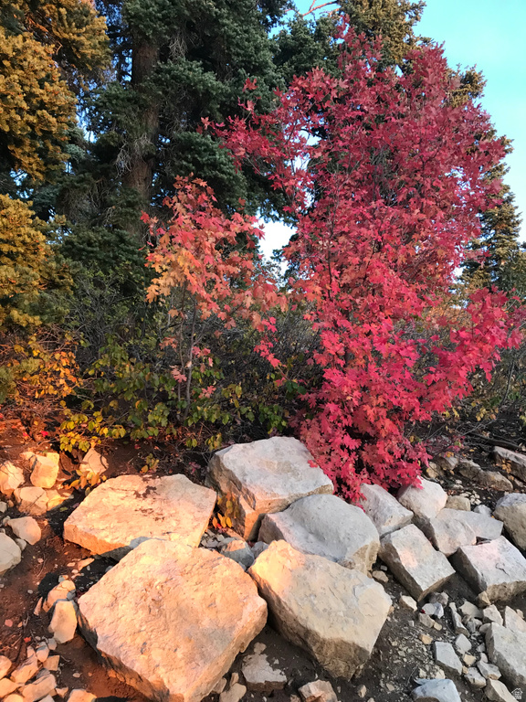 23465 N THADS PEAK Fairview, UT 84629