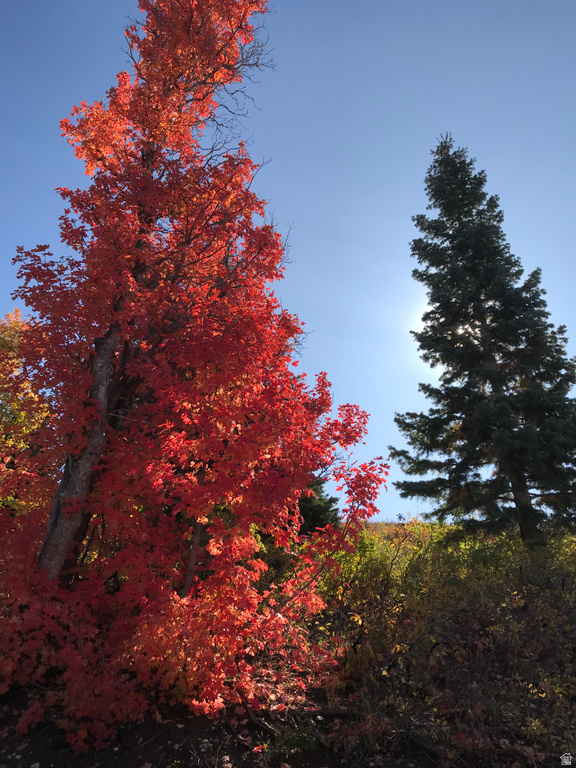 23465 N THADS PEAK Fairview, UT 84629