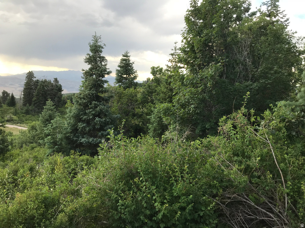 23465 N THADS PEAK Fairview, UT 84629