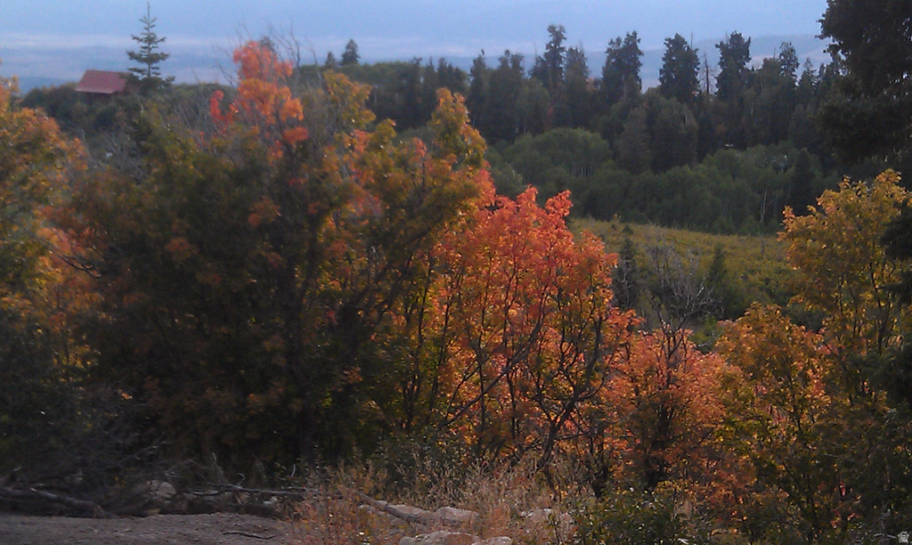 23465 N THADS PEAK Fairview, UT 84629