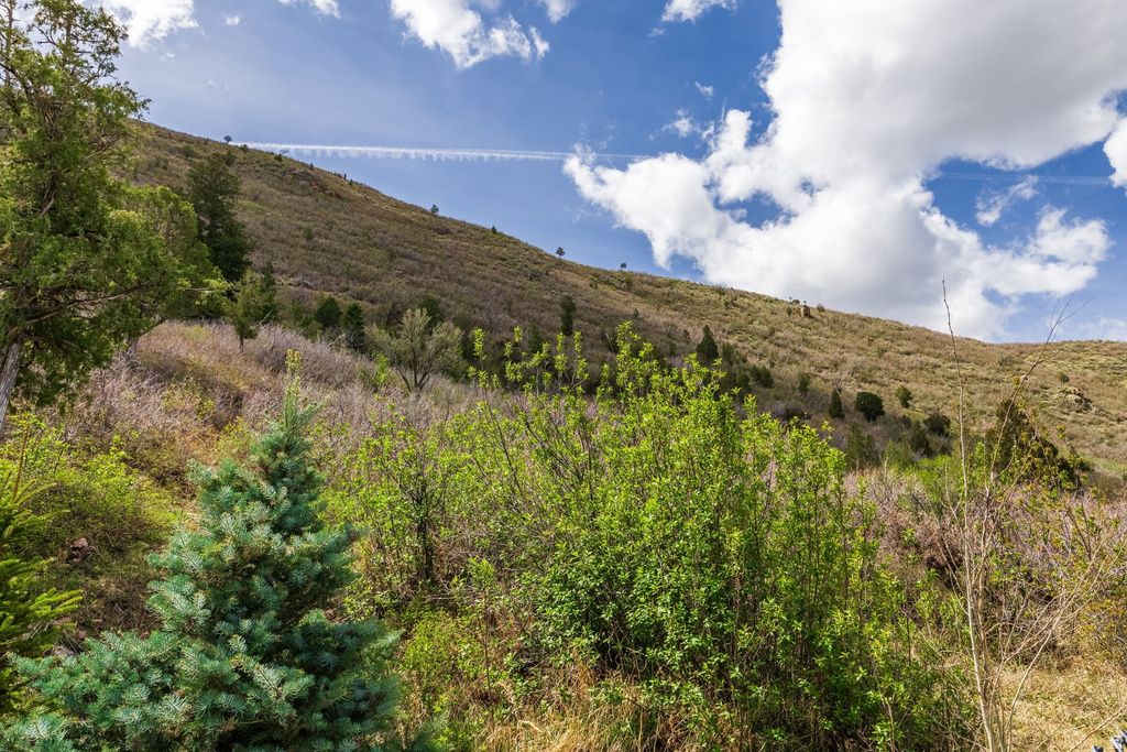 View of mountain background