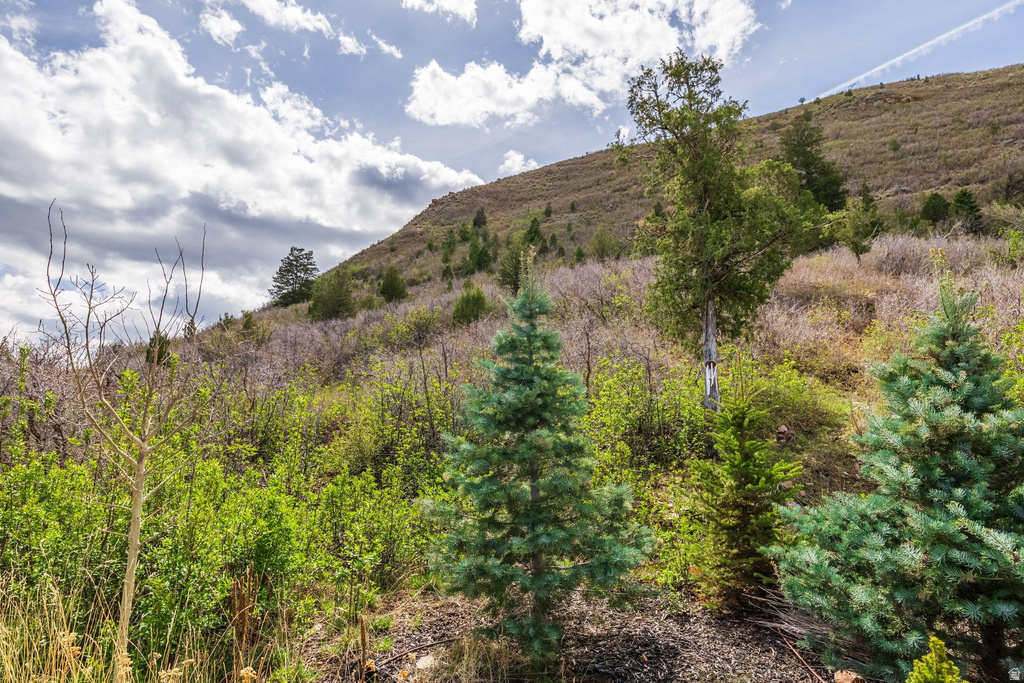View of mountain backdrop